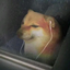 Doge's Legacy logo