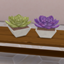 Succulent Pot logo