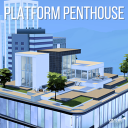 Platform Penthouse logo