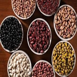 Beansforthegang logo