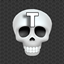 TSkull logo