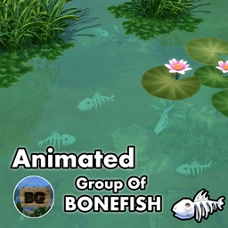 Animated Group of Bonefish ~ Animal ~ Fish ~ Pet