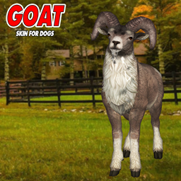 Goat skin by Jochi