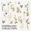 Woodland Collection Wallpaper 17 logo