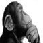 GeeMod 2 "sixth sense" monkey thinking