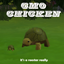 Pet Tortoise logo