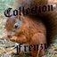 Collection Frenzy logo