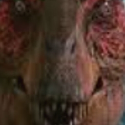 Fossils & Co. project image