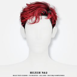 [Hezeh]Hair_No.62