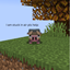 DogeCowboy's Cobblemon Skyblock avatar