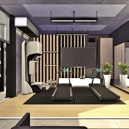 Modern Design - Home Gym 2