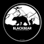 Black Bear PMC+ logo