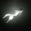 Garden Mermaids logo