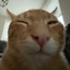 Buh Emotes avatar