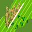 Better Plantations logo