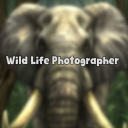 Jellypaws Wildlife Photography / translation spanish by Monisims