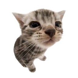 /sillycats smp logo