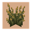 Blackout Firefly Bush avatar