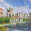 Leaking Kitchen Sink logo