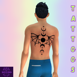 KTST00127 project image