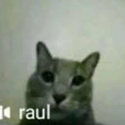 Raul's Realm project image