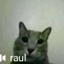 Raul's Realm logo