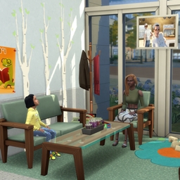 Willow Creek Day Hospital