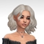 Evelyn Hairstyle logo