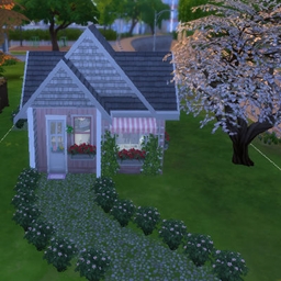 Tiny pink house on 33 squares