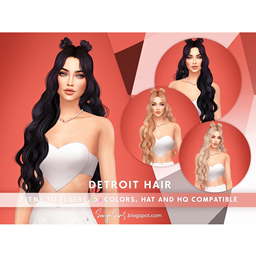 SONYASIMS -  DETROIT HAIR project image