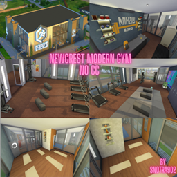 Newcrest Modern Gym No CC logo