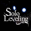 Solo Leveling:Dungeon Hunter logo
