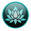SLUI logo