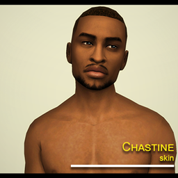 Chastine Skin logo