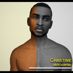 Chastine Skin Overlay logo