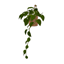 Comiko - Boho Bedroom Wall Plant logo