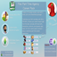 FLEX PART-TIME AGENCY CAREER PACK By midnitetech /  Translated to Spanish by dokimtz logo