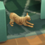 Dog Tiny Bladder Trait By YourFalseHope | Chinese Translation logo