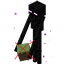 No Enderman Pickup logo