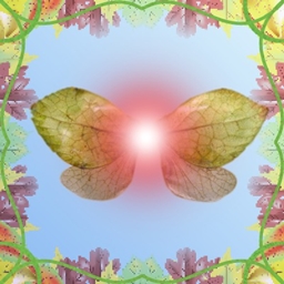 Genera project image