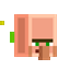 VillagerXP logo