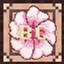 Blossom pack logo