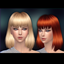 Lion Hairstyle logo