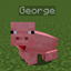 PigFriend+ logo