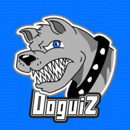 Doguiz Craft  project image