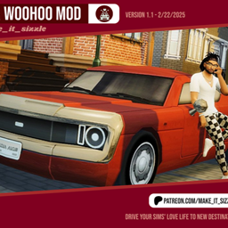 Car WooHoo PT-BR