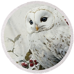 OWL SOULS project image