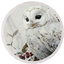 OWL SOULS logo