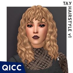 QICC - Tay Hair logo