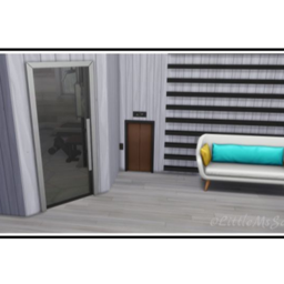 Tiny Elevators for Pets | Polish Translation